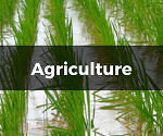 Agriculture Arete Software